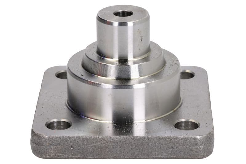 Perno fuso a snodo DANA SPICER 000.312294.A-DS (DANA SPICER 000.312294.A-DS)