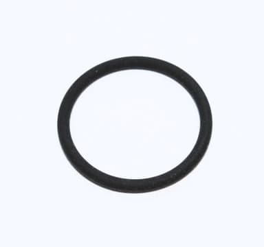 Anello di tenuta
