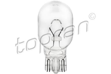 Indicatore direzione lampadina