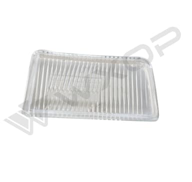 Fendinebbia lente diffusore