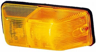 Indicatore direzione supplementare