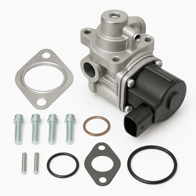 Valvola EGR kit di riparazione