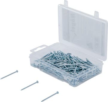 Assortimento chiodi