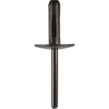Rivetti ciechi assortimento