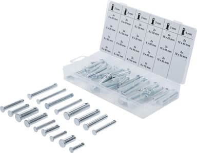 Bulloni di sicurezza assortimento