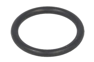 O-ring assortimento
