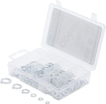 Rosetta elastica assortimento