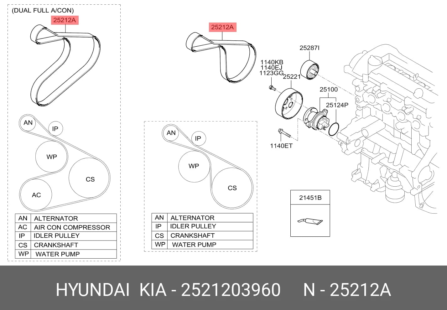 MULTIRIB BELT — Engine Compartment