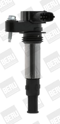 Bobina accensione — BorgWarner (BERU) ZSE174