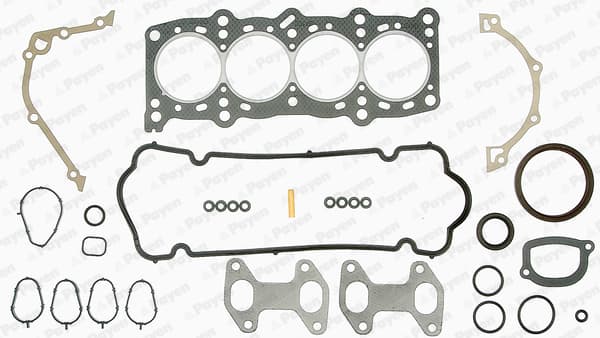 PAYEN FE5240 Kit completo guarnizioni, Motore