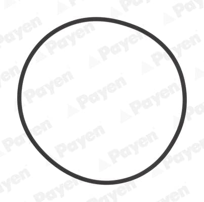 HL5383 (PAYEN HL5383)