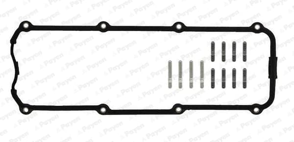 PAYEN HM5053 Copritestata kit guarnizioni