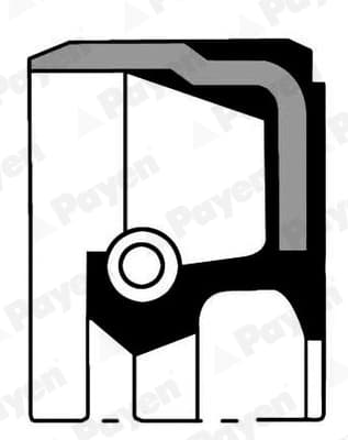 Anello paraolio albero motore — PAYEN NA5132