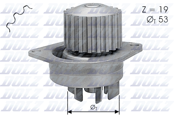 Pompa acqua — DOLZ C113