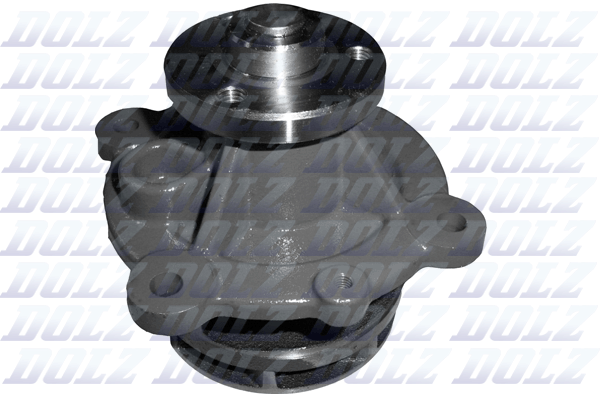 Pompa acqua — DOLZ D301