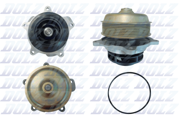 Pompa acqua — DOLZ D321