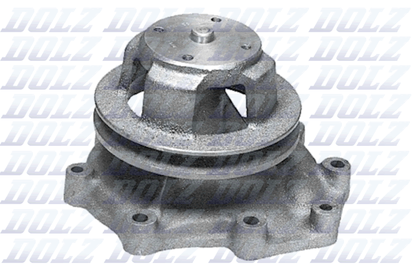 DOLZ F113 Pompa acqua