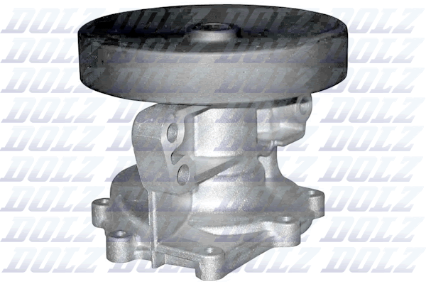 Pompa acqua — DOLZ F200
