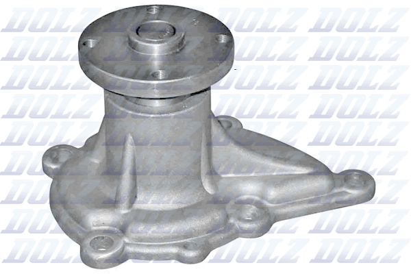 Pompa acqua — DOLZ N102