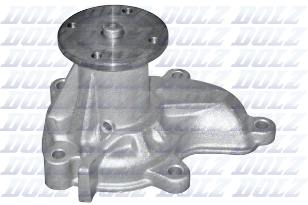 Pompa acqua — DOLZ N104