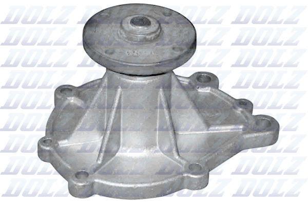 Pompa acqua — DOLZ N106