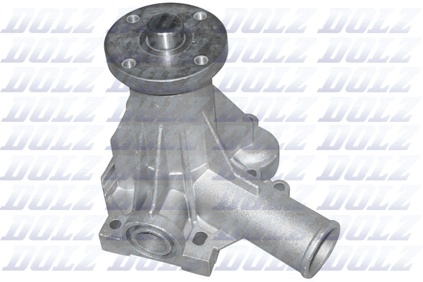 Pompa acqua — DOLZ R196