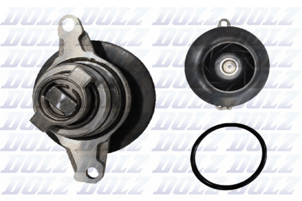 Pompa acqua — DOLZ S295