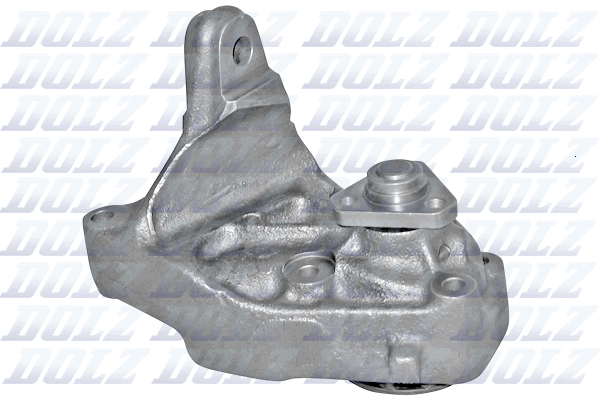 DOLZ S655 Pompa acqua