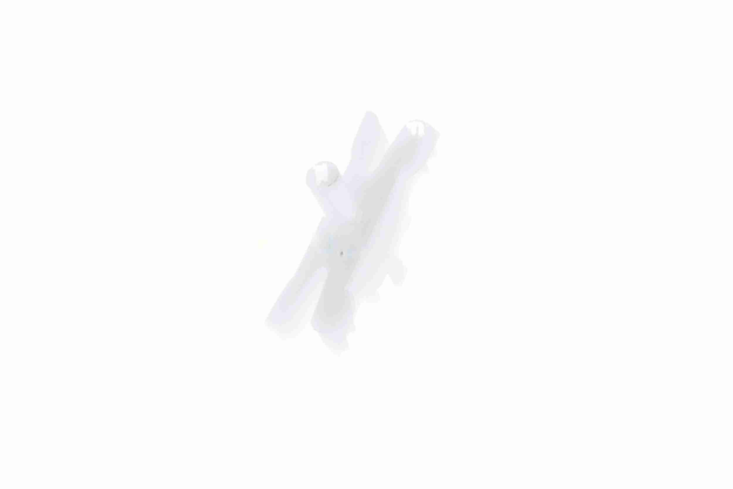 Original VAICO Quality image