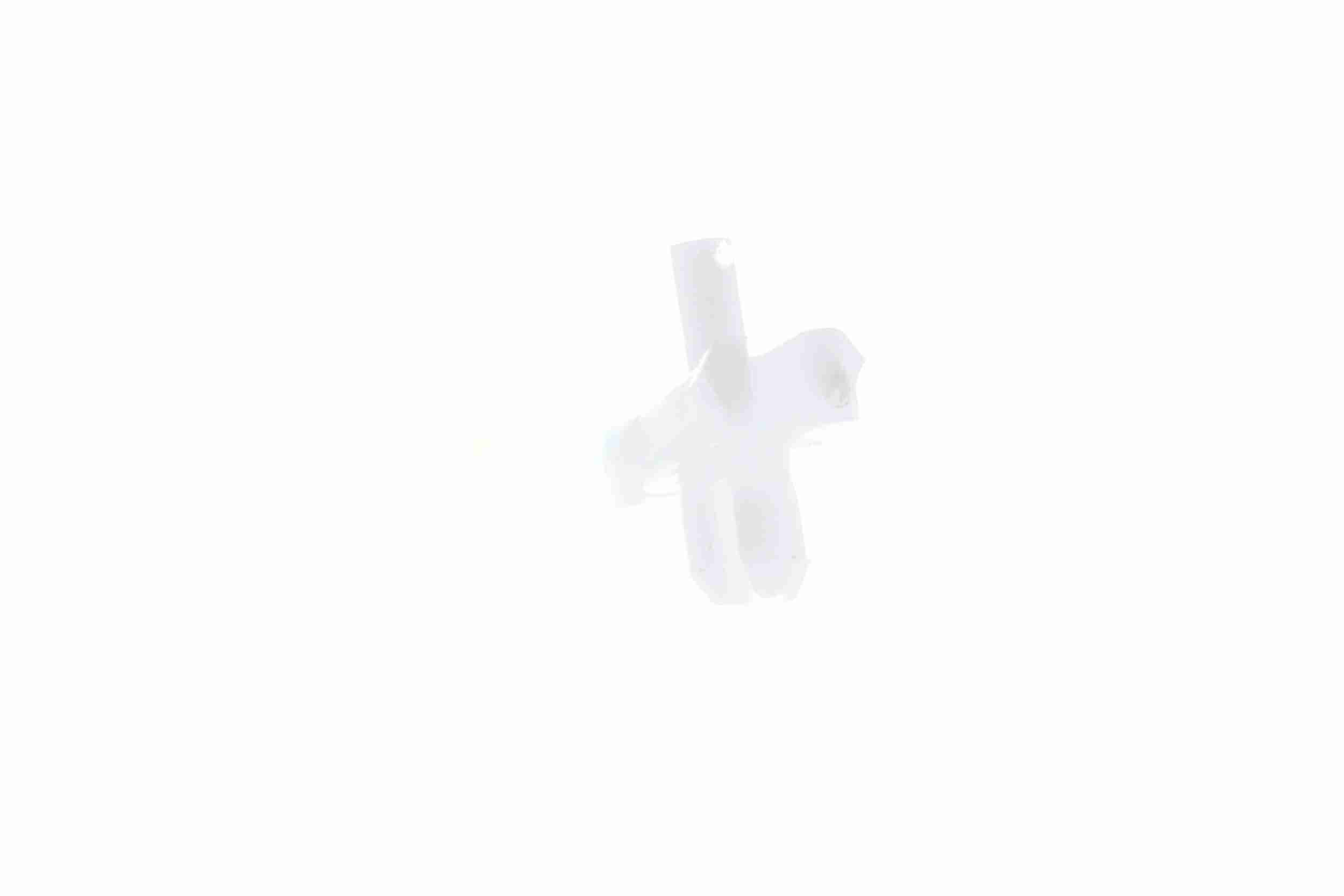 Original VAICO Quality image