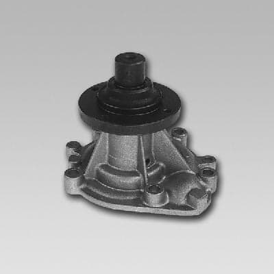 HEPU P975 Pompa acqua