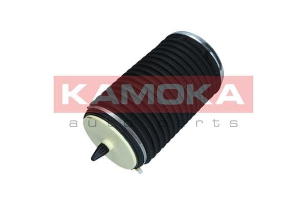 2079003 (KAMOKA 2079003)