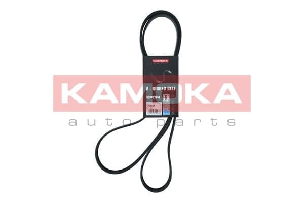Cinghia Poly-V — KAMOKA 7016176