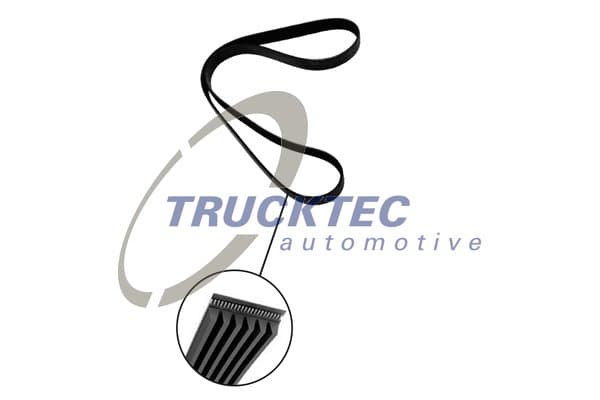 Cinghia Poly-V — TRUCKTEC AUTOMOTIVE 02.19.351