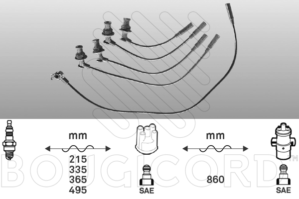 EFI - BOUGICORD image
