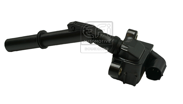 EFI - BOUGICORD image