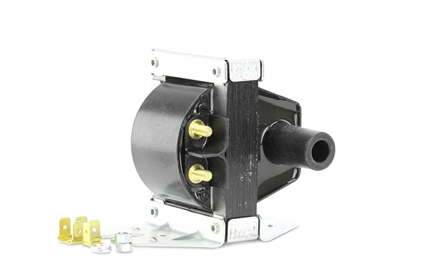 EFI - BOUGICORD image