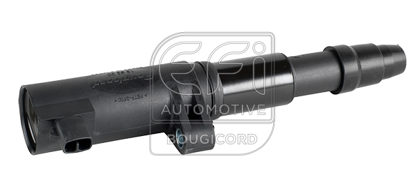 EFI - BOUGICORD image