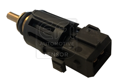 EFI - SENSOR image