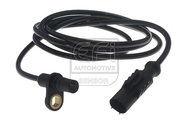 EFI - SENSOR image