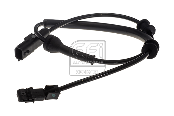 EFI - SENSOR image