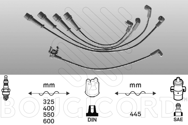 EFI - BOUGICORD image
