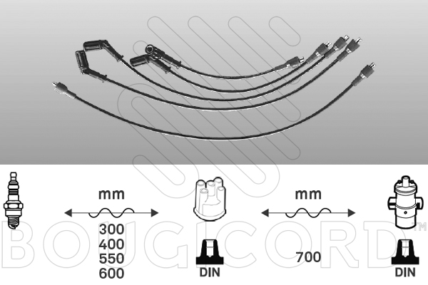 EFI - BOUGICORD image