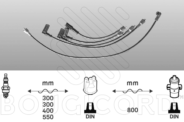 EFI - BOUGICORD image