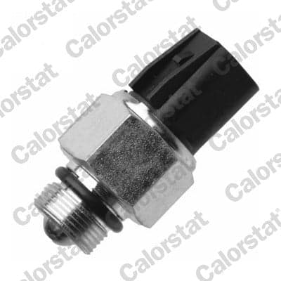 Interruttore, Luce di retromarcia — CALORSTAT by Vernet RS5625
