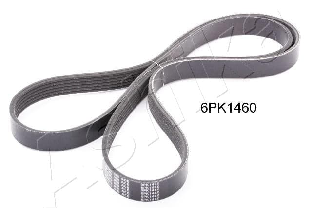 Cinghia Poly-V — ASHIKA 112-6PK1460
