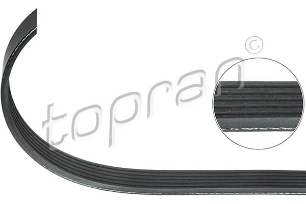 Cinghia Poly-V — TOPRAN 100 588
