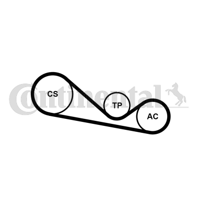 ribbed V belt set image