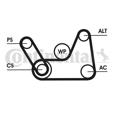 ribbed V belt set image