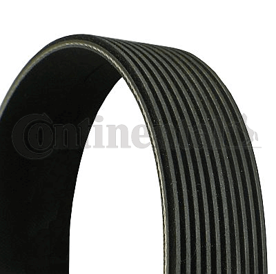Cinghia Poly-V (CONTINENTAL CTAM 10PK1512)